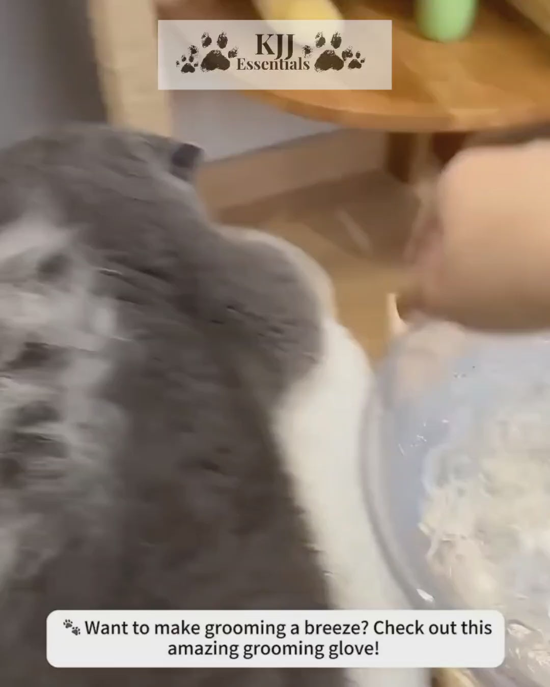 Pet Grooming Gloves