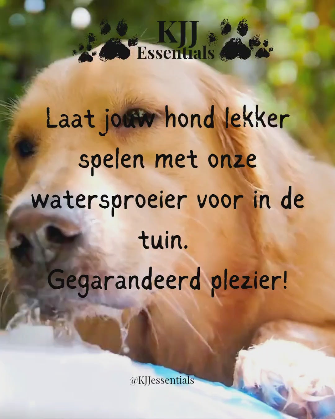 Dog Drinking Water Fountain Outdoor AFP Garden Push On Pet Sprinkler